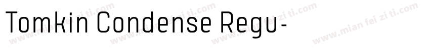 Tomkin Condense Regu字体转换